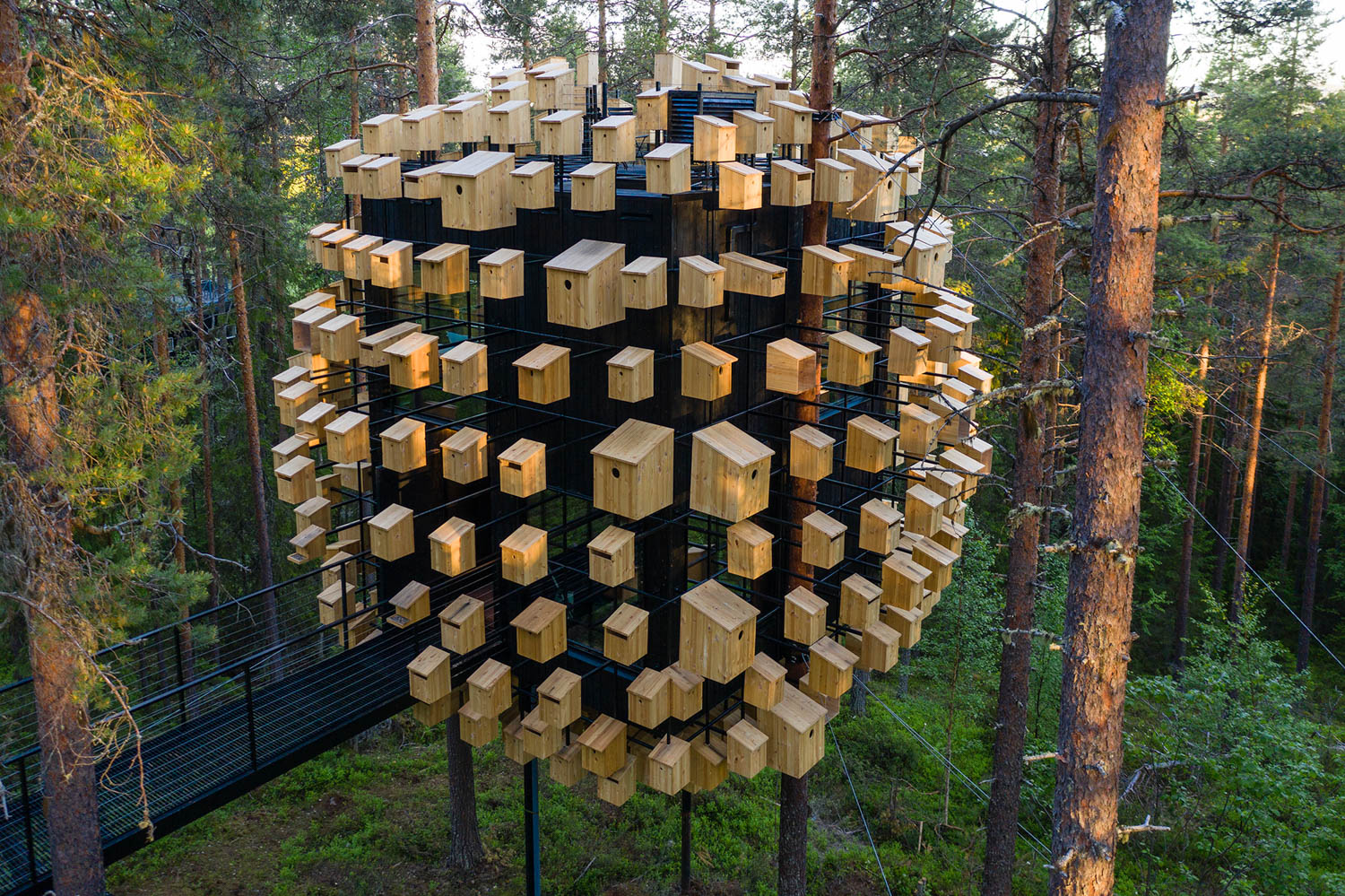 Biosphere, Treehotel