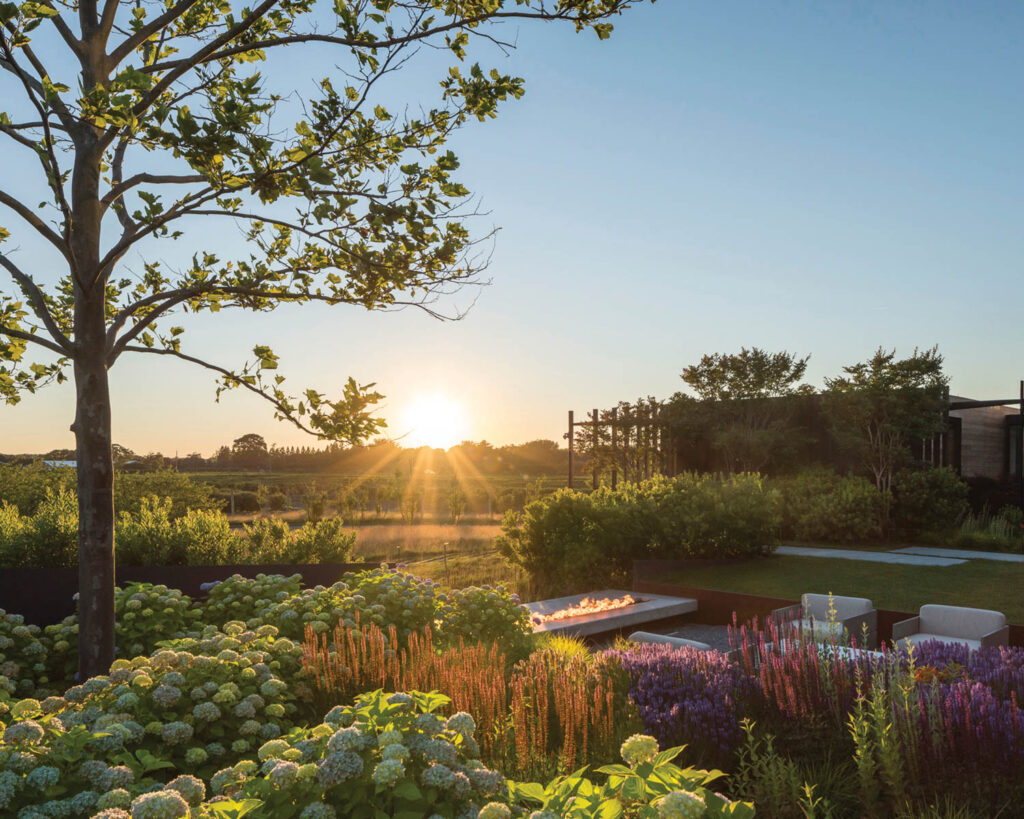 sunset over a garden