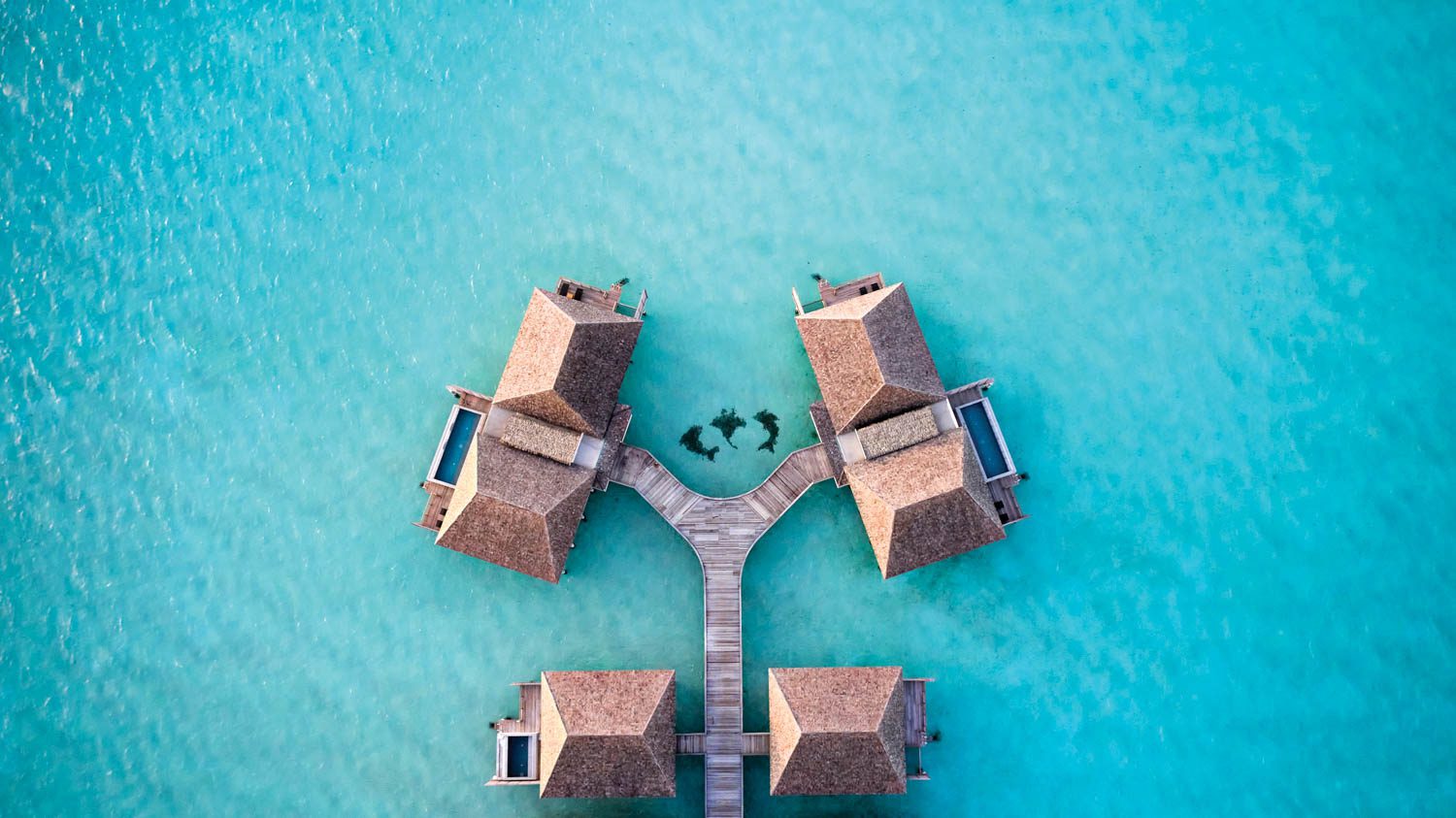 Le Meridien Maldives Resort & Spa