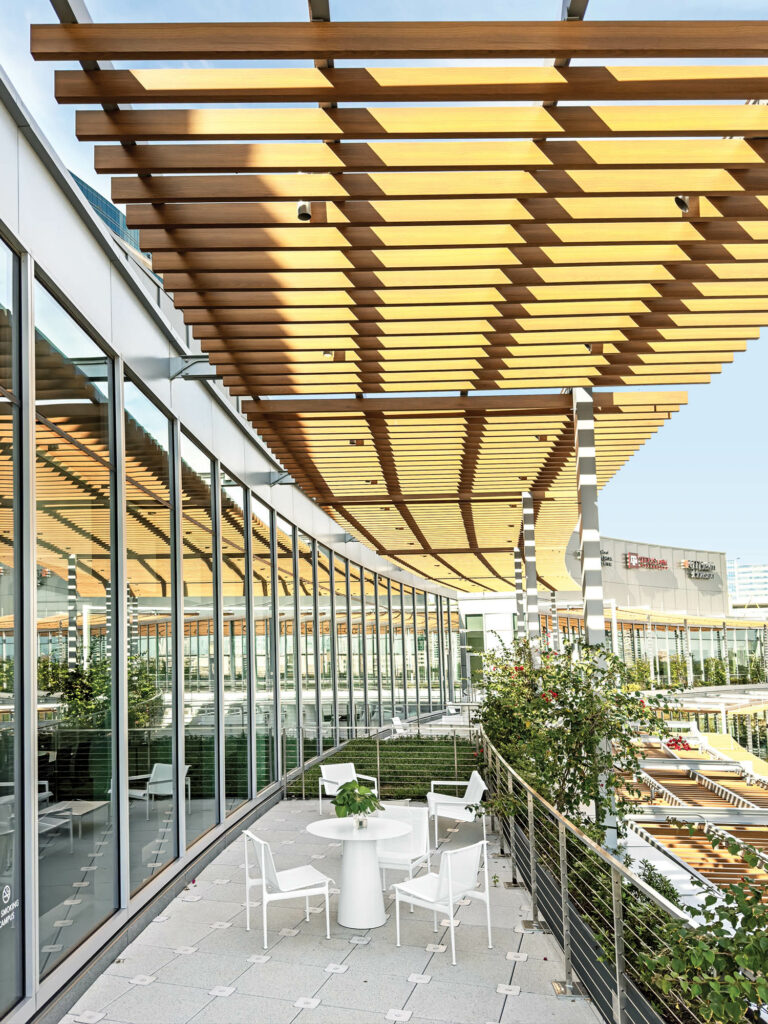 Curved east facade of the building shaded with a pergola and surrounded by greenery